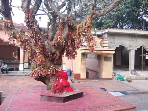 Hindu Temples of India: Bargabhima Temple, Tamluk, West Bengal