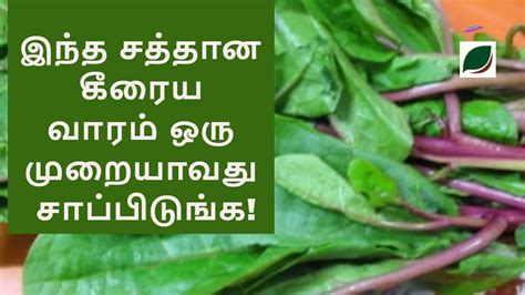 இந்த சத்தான கீரைய வாரம் ஒரு முறையாவது சாப்பிடுங்க Spinach Pasalai