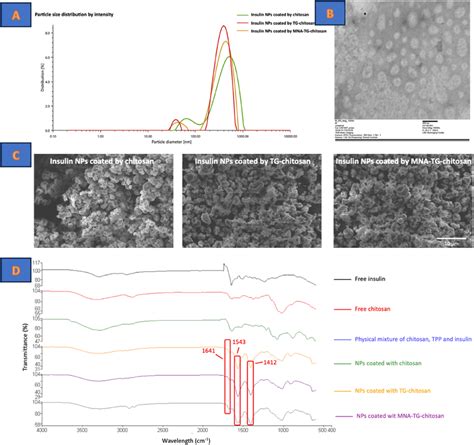 Characterization Of Insulin Nanoparticles Coated With Different