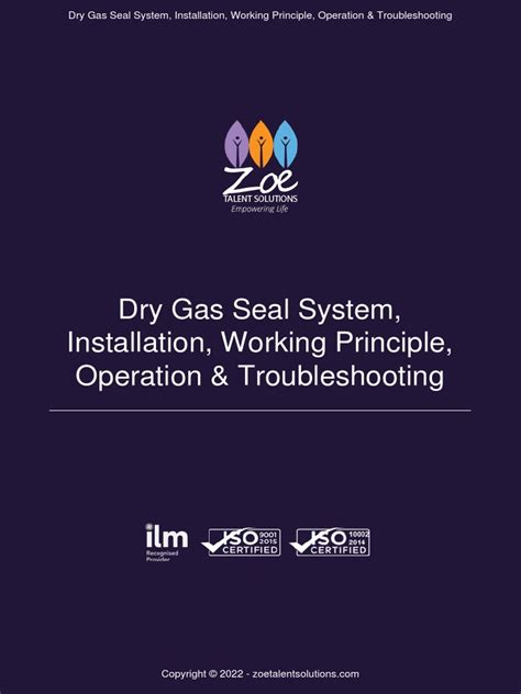 Dry Gas Seal System, Installation, Working Principle, Operation ...