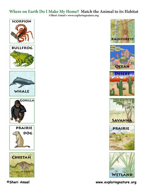 Animals And Their Habitats Chart