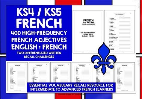 French Adjectives Recall Workbook 3 Teaching Resources