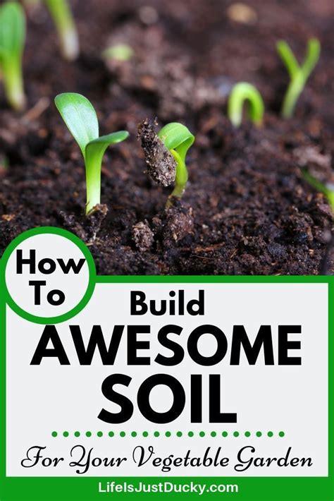 How To Prepare Awesome Soil For Your Vegetable Garden , #Awesome # ...