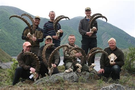 Altai (Siberian) Ibex Hunts : Trophy Ibex Hunting in Russia