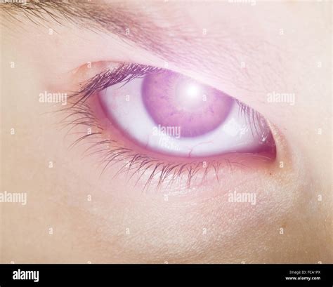human eye  light stock photo alamy