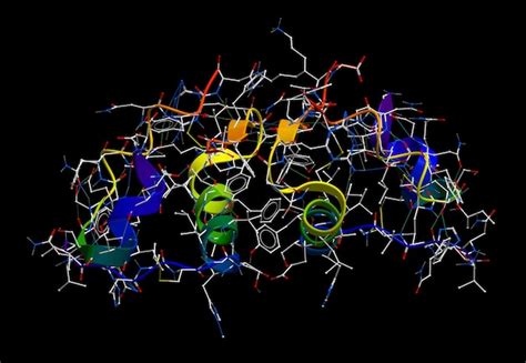 Modelo Molecular Da Insulina 3D Foto Premium