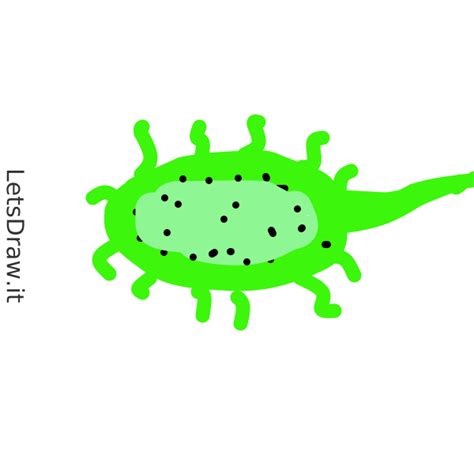 How To Draw Bacteria X J Cdddq Png Letsdrawit