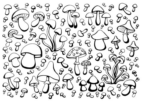 Hand Drawn Set Of Mushrooms Outline Drawing Vector Illustration