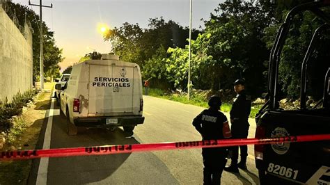 Hallan osamenta en un área verde de Playa del Carmen Quinta Fuerza