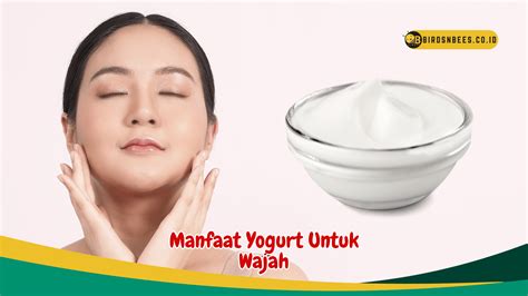 Manfaat Yogurt Untuk Kulit Wajah Yang Lebih Halus Dan Bersinar Birds