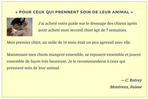 Dresser son chien en 15 minutes par jour le meilleur guide pour démarrer