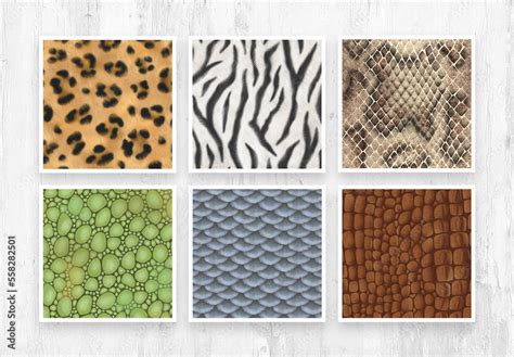 Animal Print Patterns Stock Template | Adobe Stock