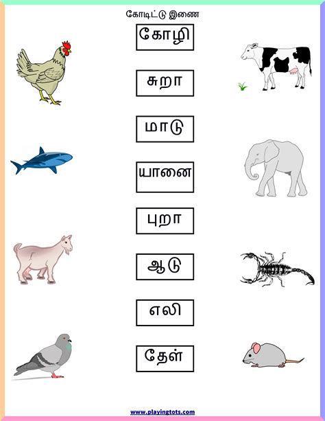 Ukg Tamil Worksheets