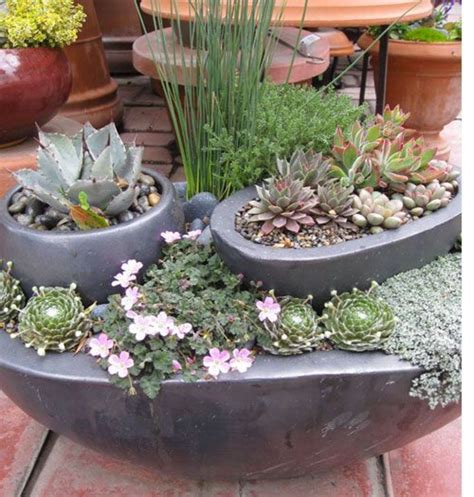 Succulent Gardens For Small Spaces Dengarden