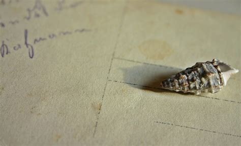 memory postcard   photo  pixabay