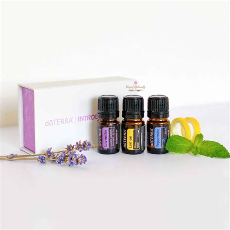 doTERRA Intro Kit Óleos essenciais doterra Doterra Óleo essencial