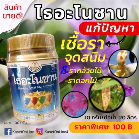 ไทสกาย ป้องกันกำจัด ราน้ำค้าง ใบจุด ราสนิม พริกเน่า เมลาโนส สแคป ฯ คลอโรทาโลนิล 50 W V Sc