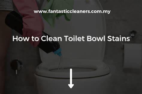 How To Clean Toilet Bowl Stains Fantastic Cleaners