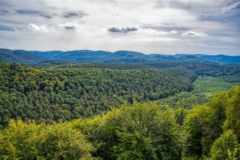 Ch Teau Du Falkenstein Jonas Schauer Flickr