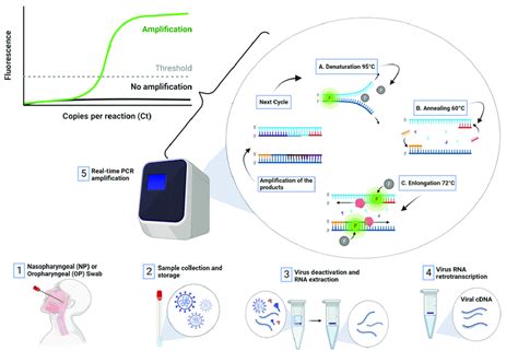 Multiplex Real Time Rt Pcr Method For The Diagnosis Of Off