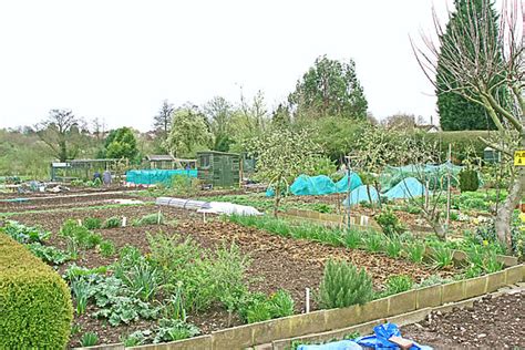 allotment association committee tidbury green parish council