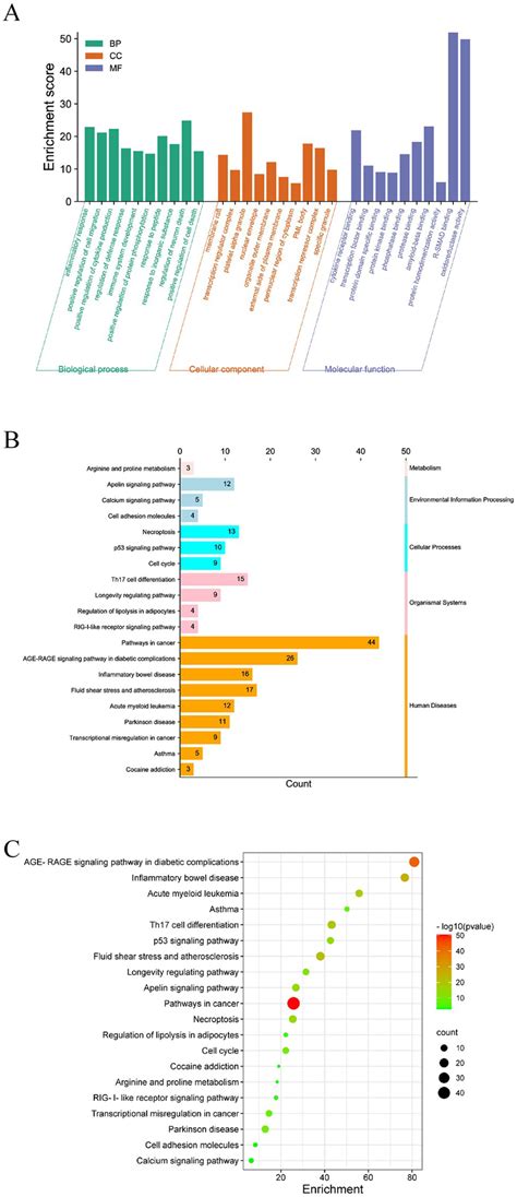 A Histogram Of Go Functional Enrichment Analysis B Classification