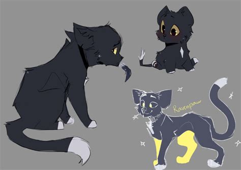 Ravenpaw | Warrior Cats