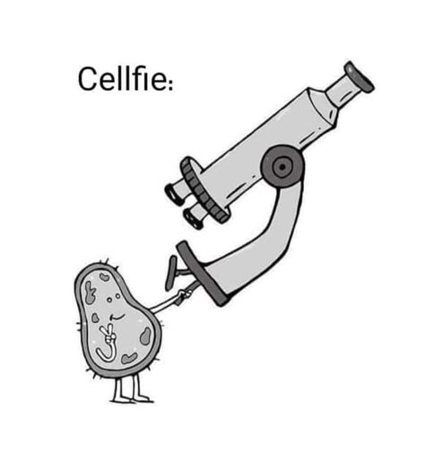 Cellfie - Memes