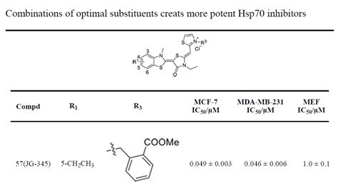 Heat Shock Protein Hsp Inhibitor Jg Small Molecules Tool