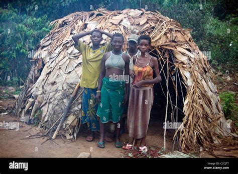 Pygmies In Forest Republic Congo Hi Res Stock Photography And Images