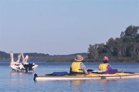 Full Day Guided Noosa Everglades Kayak Tour