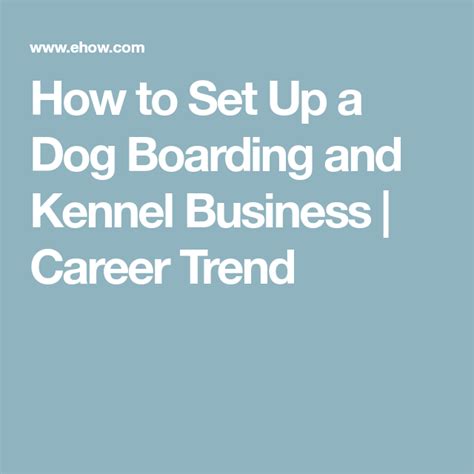 how to set up a dog boarding business