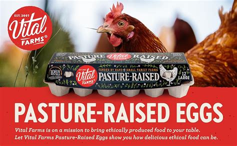 Vital Farms Pasture Raised Grade A Large Eggs 12ct Grocery And Gourmet Food