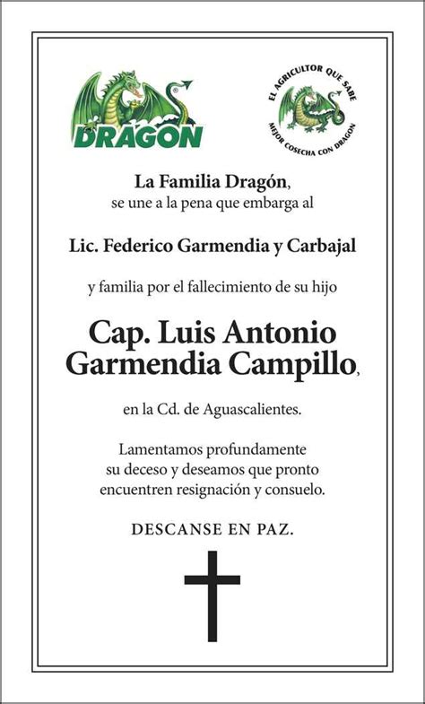 Capit N Luis Antonio Garmendia Campillo Obituario Esquela