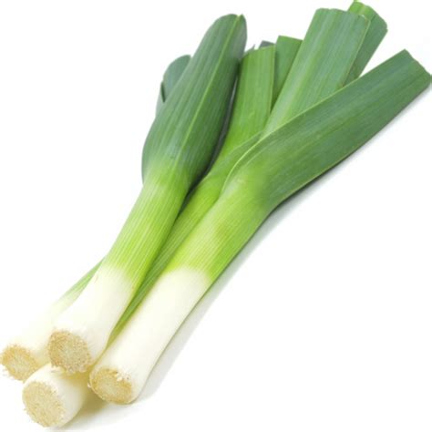 giant winter leek seeds welldales