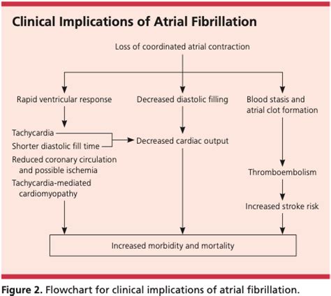 Excellent Review Article Discussing Background Pathophysiology