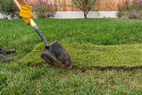 How To Repair Grass Lawn Storables