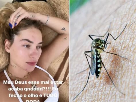 Infectologista Explica Quais São Os Sintomas Da Dengue E Como Se