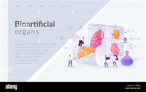 Lab Grown Organs Landing Page Concept Stock Vector Image And Art Alamy