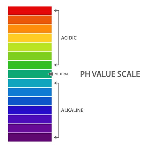 Ph Value Scale Vector Art At Vecteezy