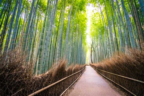 京都一日遊路線規劃 6大必訪景點推薦！