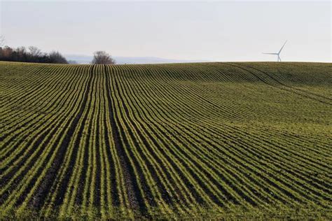 Nowe zasady dzierżawy państwowych gruntów rolnych Czy są korzystne dla