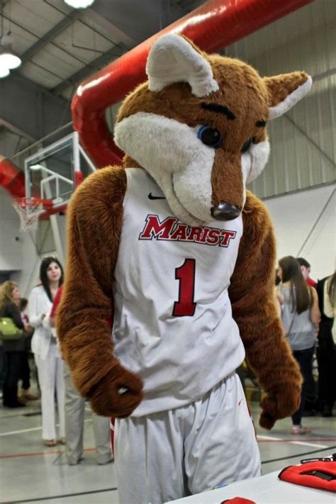 Marist University Red Foxes. Mascot is Shooter the Red Fox. | Mascot ...