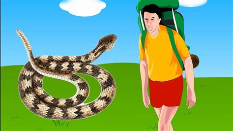 What To Do If A Snake Bites You Dos And Donts Youtube