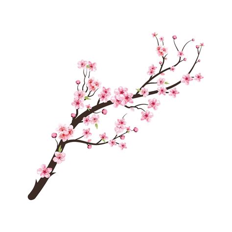 Watercolor Cherry Blossom Tree Branch With Sakura Flower