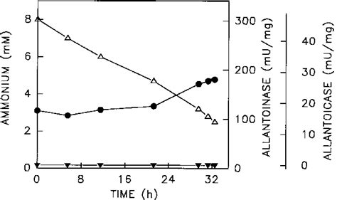 Allantoinase And Allantoicase Activities In C Reinhardtii Cells