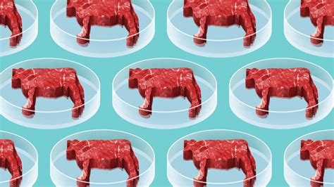 La Carne Sintetica O Carne Del Futuro Un Investimento Roberto Pesce