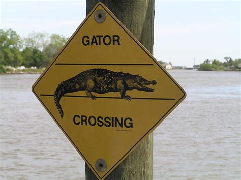 Sign Swamp Tour New Orleans Louisiana Usa Leo Reynolds Flickr