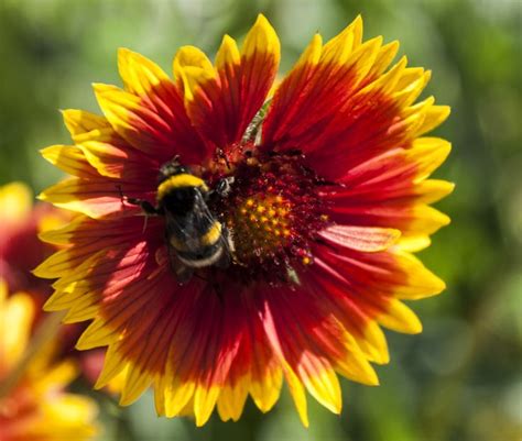 La Bellezza Della Natura Natura Bellezza