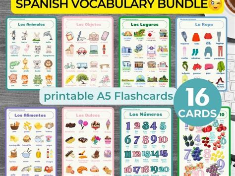 SPANISH BASIC VOCABULARY overview bundle | Teaching Resources